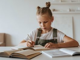 se puede obtener el cheque libro de manera telemática en el Punto de Recogida Electrónica.