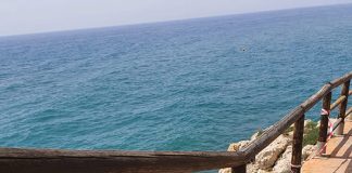 La empresa adjudicataria, Bárbol Gardengrass S.L, ha sido la encargada de realizar las tareas que han tenido un presupuesto de 3.316,61 euros.