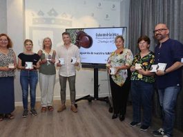 Las letras y canciones de los Coros y Danzas de Torrox y Fandangos de Güi también se almacenan en CDs y pendrives, y se difunden a través de YouTube.